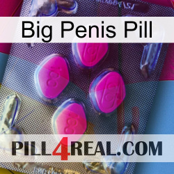 Big Penis Pill